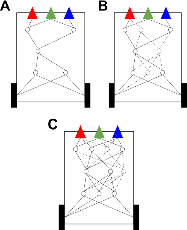 Figure 1 for Embodied Continual Learning Across Developmental Time Via Developmental Braitenberg Vehicles