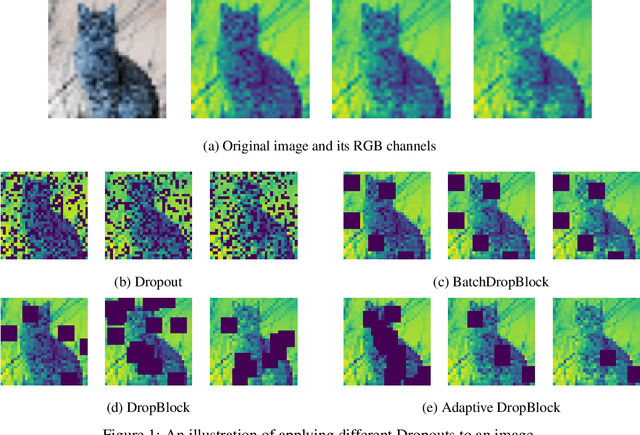 Figure 1 for Revisiting Structured Dropout