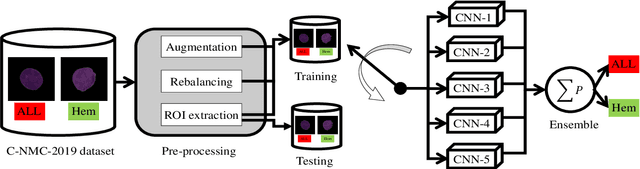 Figure 2 for Acute Lymphoblastic Leukemia Detection from Microscopic Images Using Weighted Ensemble of Convolutional Neural Networks