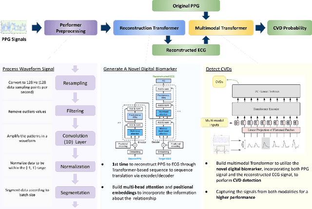 Figure 2 for Performer: A Novel PPG to ECG Reconstruction Transformer For a Digital Biomarker of Cardiovascular Disease Detection