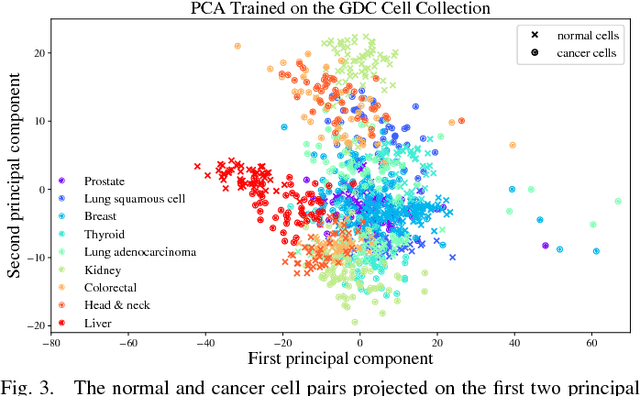 Figure 3 for Distinguishing between Normal and Cancer Cells Using Autoencoder Node Saliency
