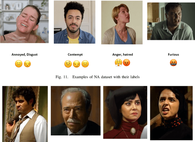 Figure 3 for The Many Faces of Anger: A Multicultural Video Dataset of Negative Emotions in the Wild