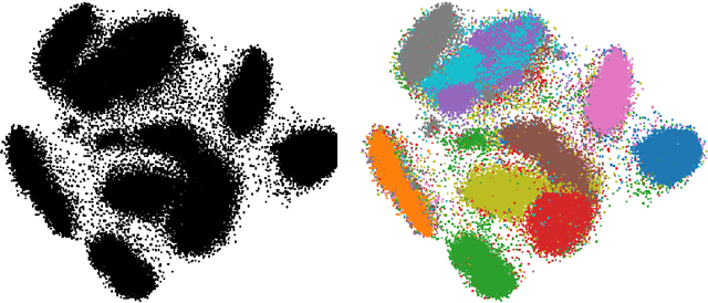 Figure 1 for t-SNE, Forceful Colorings and Mean Field Limits