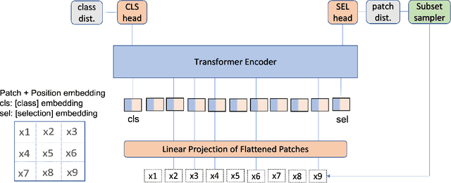 Figure 3 for Causality for Inherently Explainable Transformers: CAT-XPLAIN