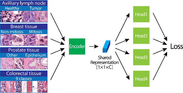 Figure 3 for Extending Unsupervised Neural Image Compression With Supervised Multitask Learning