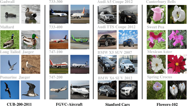 Figure 4 for Fine-Grained Visual Classification via Simultaneously Learning of Multi-regional Multi-grained Features