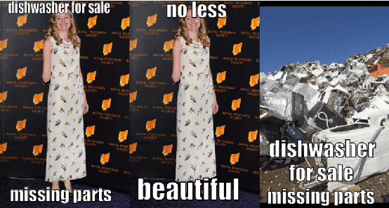 Figure 1 for An Interpretable Approach to Hateful Meme Detection