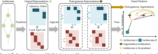 Figure 1 for Homogeneous Architecture Augmentation for Neural Predictor