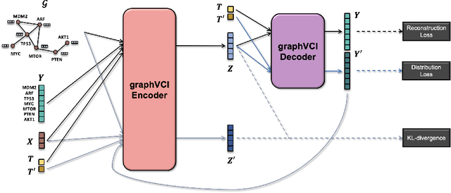 Figure 3 for Predicting Cellular Responses with Variational Causal Inference and Refined Relational Information