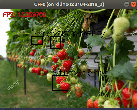Figure 4 for Strawberry Detection Using a Heterogeneous Multi-Processor Platform