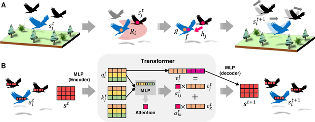 Figure 1 for Towards Automated Statistical Physics : Data-driven Modeling of Complex Systems with Deep Learning