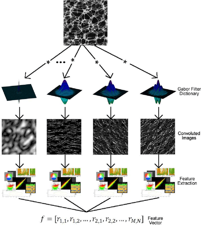Figure 1 for Gabor wavelets combined with volumetric fractal dimension applied to texture analysis