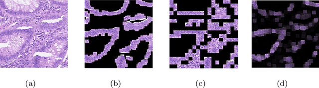 Figure 4 for Multi-Instance Learning by Utilizing Structural Relationship among Instances