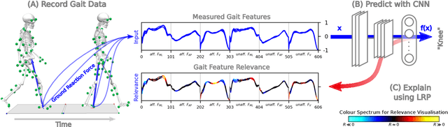 Figure 3 for On the Understanding and Interpretation of Machine Learning Predictions in Clinical Gait Analysis Using Explainable Artificial Intelligence