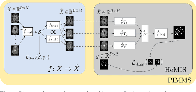 Figure 1 for PIMMS: Permutation Invariant Multi-Modal Segmentation