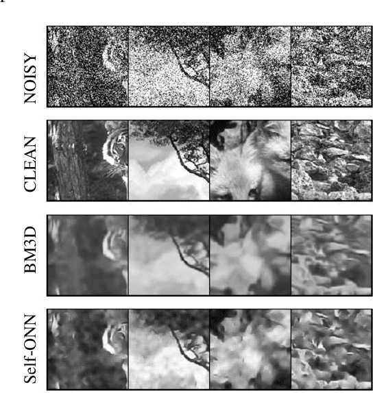 Figure 1 for BM3D vs 2-Layer ONN