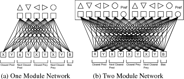 Figure 1 for Balancing Selection Pressures, Multiple Objectives, and Neural Modularity to Coevolve Cooperative Agent Behavior