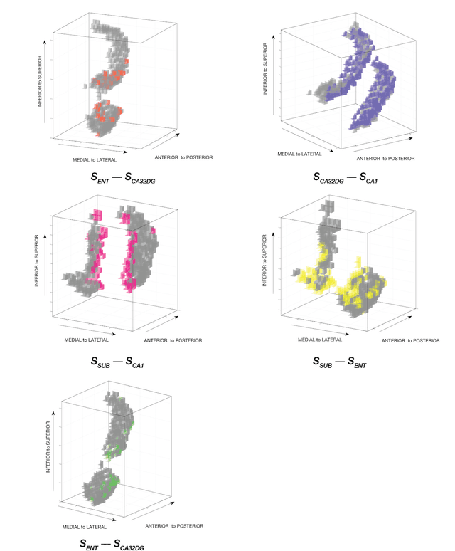 Figure 4 for Identification of Effective Connectivity Subregions