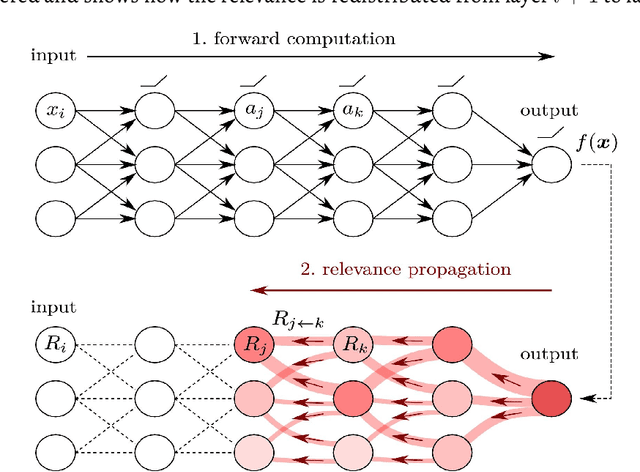 Figure 4 for Comparison of Convolutional neural network training parameters for detecting Alzheimers disease and effect on visualization