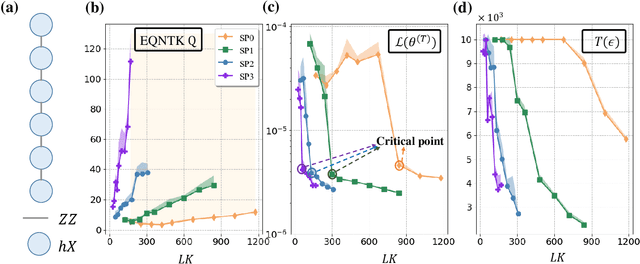 Figure 2 for Symmetric Pruning in Quantum Neural Networks