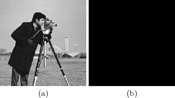 Figure 4 for Exact Reconstruction of the Rank Order Coding using Frames Theory