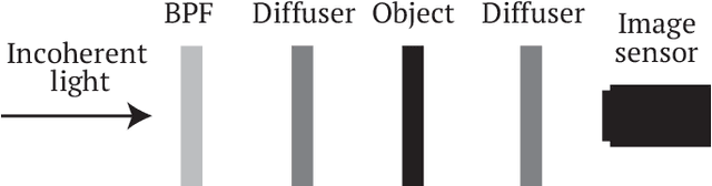 Figure 4 for Extended field-of-view speckle-correlation imaging by estimating autocorrelation