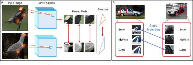 Figure 1 for Fine-grained Few-shot Recognition by Deep Object Parsing