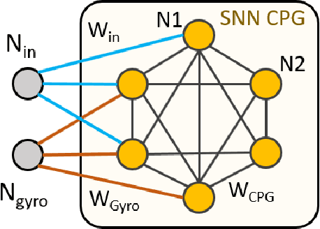 Figure 2 for Learning to Walk: Spike Based Reinforcement Learning for Hexapod Robot Central Pattern Generation