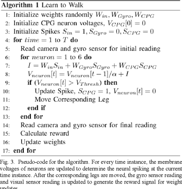Figure 3 for Learning to Walk: Spike Based Reinforcement Learning for Hexapod Robot Central Pattern Generation