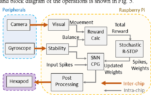 Figure 4 for Learning to Walk: Spike Based Reinforcement Learning for Hexapod Robot Central Pattern Generation