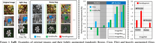 Figure 1 for Augmentation Pathways Network for Visual Recognition