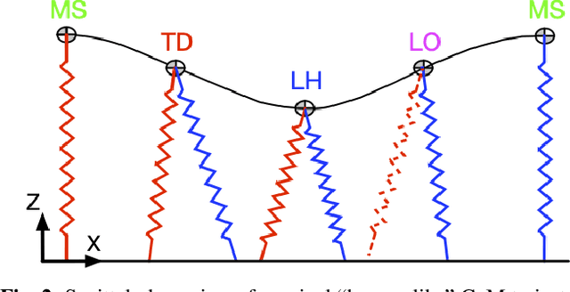 Figure 2 for Robust Dynamic Walking for a 3D Dual-SLIP Model under One-Step Unilateral Stiffness Perturbations: Towards Bipedal Locomotion over Compliant Terrain