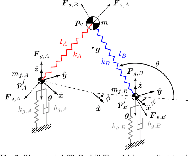 Figure 3 for Robust Dynamic Walking for a 3D Dual-SLIP Model under One-Step Unilateral Stiffness Perturbations: Towards Bipedal Locomotion over Compliant Terrain