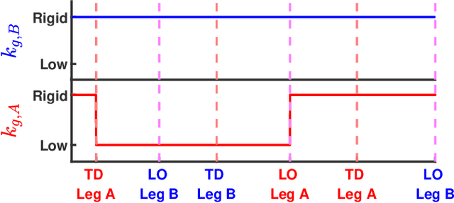 Figure 4 for Robust Dynamic Walking for a 3D Dual-SLIP Model under One-Step Unilateral Stiffness Perturbations: Towards Bipedal Locomotion over Compliant Terrain