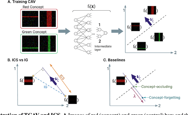 Figure 1 for Best of both worlds: local and global explanations with human-understandable concepts