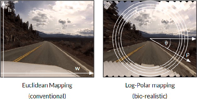 Figure 1 for Human eye inspired log-polar pre-processing for neural networks