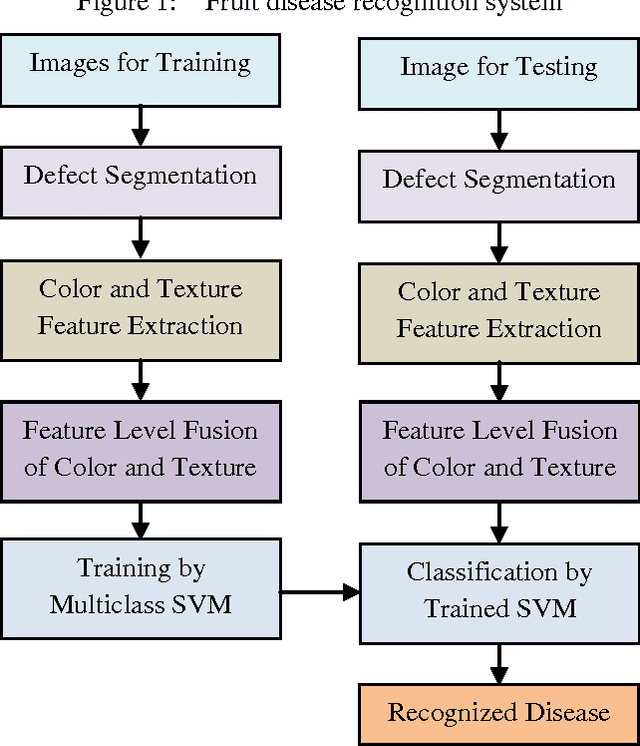 Figure 1 for Fusing Color and Texture Cues to Categorize the Fruit Diseases from Images