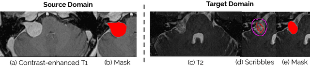Figure 1 for Scribble-based Domain Adaptation via Co-segmentation