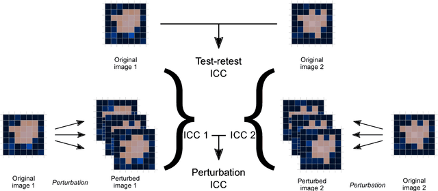 Figure 3 for Assessing robustness of radiomic features by image perturbation