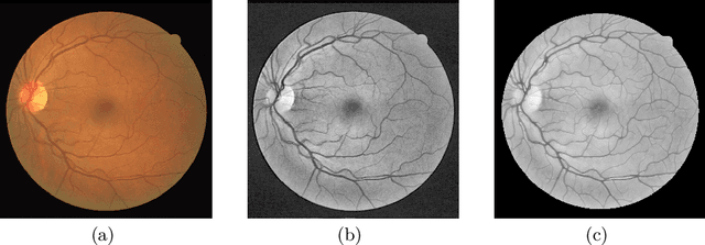 Figure 3 for Lesson Learnt: Modularization of Deep Networks Allow Cross-Modality Reuse