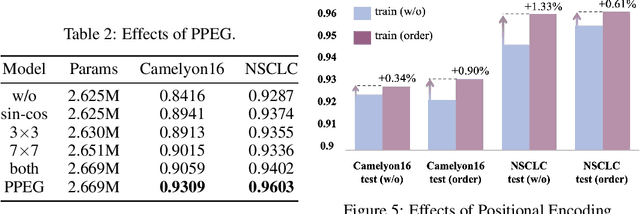 Figure 4 for TransMIL: Transformer based Correlated Multiple Instance Learning for Whole Slide Image Classication