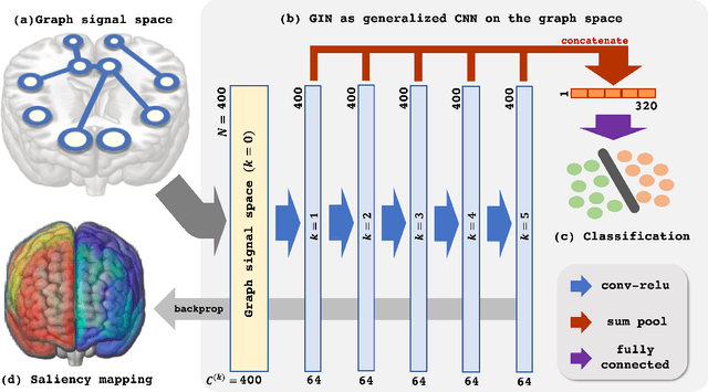 Figure 1 for Understanding Graph Isomorphism Network for Brain MR Functional Connectivity Analysis