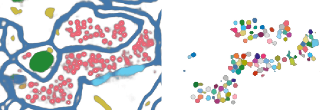 Figure 1 for Morphology on categorical distributions