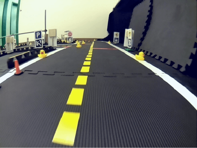 Figure 1 for Developing a Purely Visual Based Obstacle Detection using Inverse Perspective Mapping