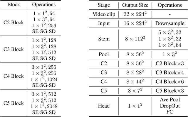 Figure 2 for Revisiting 3D ResNets for Video Recognition