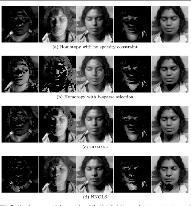 Figure 2 for A Homotopy-based Algorithm for Sparse Multiple Right-hand Sides Nonnegative Least Squares