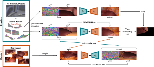Figure 3 for Long-Term Temporally Consistent Unpaired Video Translation from Simulated Surgical 3D Data