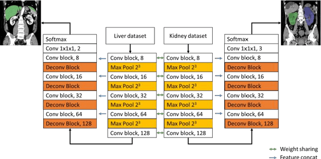Figure 2 for Computation of Total Kidney Volume from CT images in Autosomal Dominant Polycystic Kidney Disease using Multi-Task 3D Convolutional Neural Networks