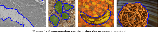Figure 1 for Spectral Image Segmentation with Global Appearance Modeling