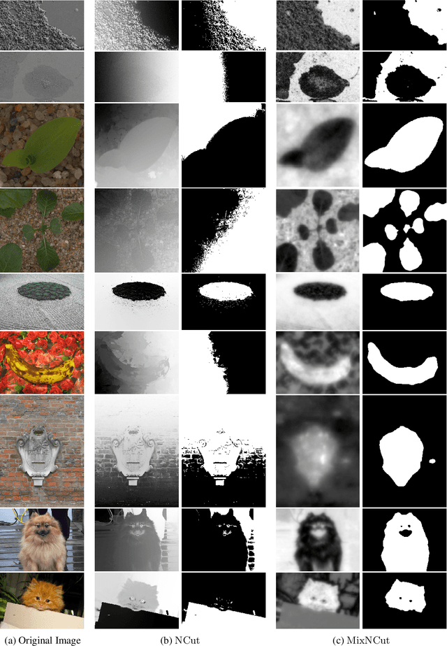 Figure 3 for Spectral Image Segmentation with Global Appearance Modeling